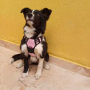 Peitoral Reforçado com Guia para Cachorros